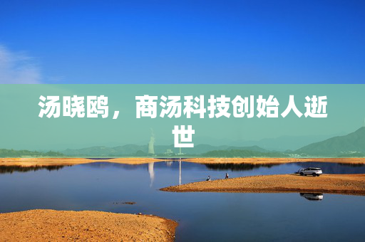 汤晓鸥，商汤科技创始人逝世