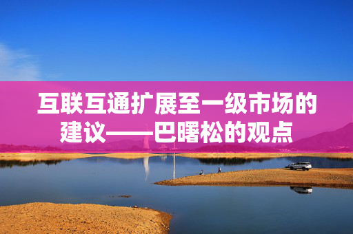 互联互通扩展至一级市场的建议——巴曙松的观点