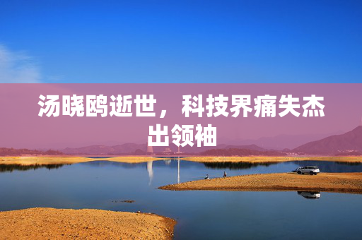 汤晓鸥逝世，科技界痛失杰出领袖