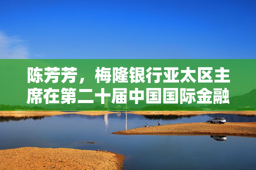 陈芳芳，梅隆银行亚太区主席在第二十届中国国际金融论坛上的风采