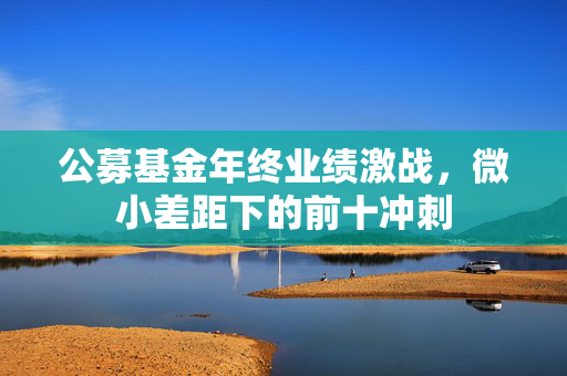 公募基金年终业绩激战，微小差距下的前十冲刺