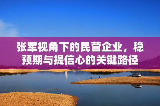 张军视角下的民营企业，稳预期与提信心的关键路径