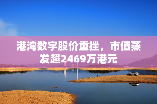 港湾数字股价重挫，市值蒸发超2469万港元