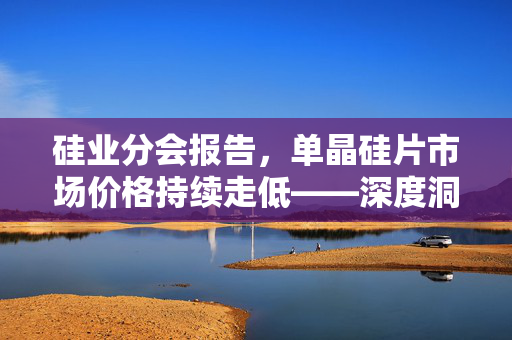 硅业分会报告，单晶硅片市场价格持续走低——深度洞察行业动态与市场趋势