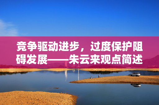 竞争驱动进步，过度保护阻碍发展——朱云来观点简述