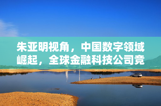 朱亚明视角，中国数字领域崛起，全球金融科技公司竞逐中国市场