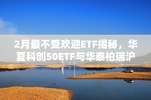 2月最不受欢迎ETF揭秘，华夏科创50ETF与华泰柏瑞沪深300ETF遭遇大额净赎回