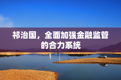 祁治国，全面加强金融监管的合力系统