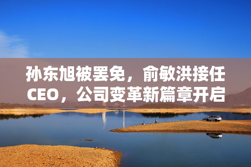孙东旭被罢免，俞敏洪接任CEO，公司变革新篇章开启