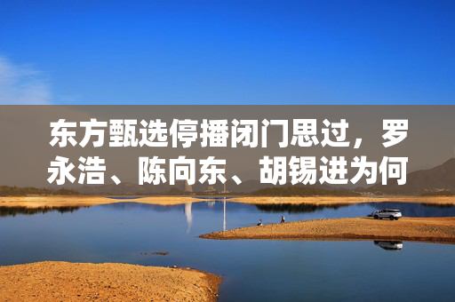 东方甄选停播闭门思过，罗永浩、陈向东、胡锡进为何言辞谨慎？