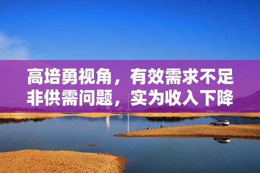 高培勇视角，有效需求不足非供需问题，实为收入下降影响