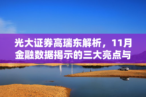 光大证券高瑞东解析，11月金融数据揭示的三大亮点与市场影响