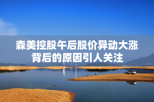 森美控股午后股价异动大涨背后的原因引人关注