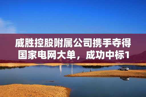威胜控股附属公司携手夺得国家电网大单，成功中标11.8万台智能电表项目