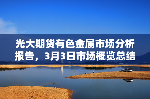 光大期货有色金属市场分析报告，3月3日市场概览总结