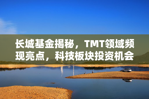 长城基金揭秘，TMT领域频现亮点，科技板块投资机会的把握