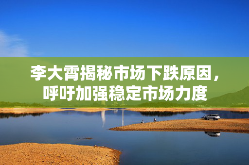 李大霄揭秘市场下跌原因，呼吁加强稳定市场力度