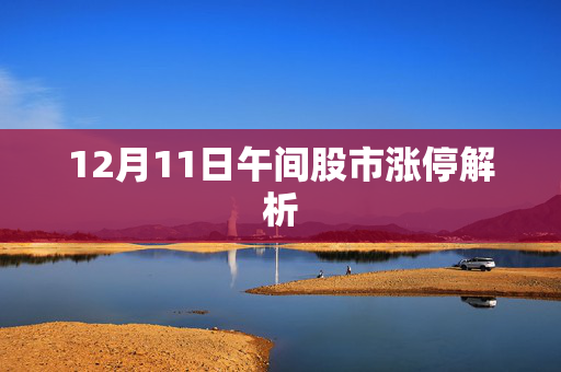 12月11日午间股市涨停解析