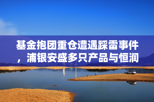 基金抱团重仓遭遇踩雷事件，浦银安盛多只产品与恒润股份背后的基民担忧