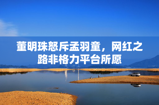 董明珠怒斥孟羽童，网红之路非格力平台所愿