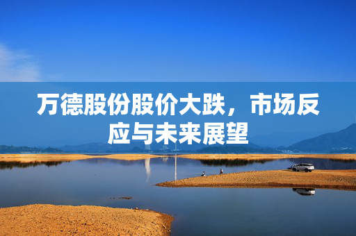 万德股份股价大跌，市场反应与未来展望