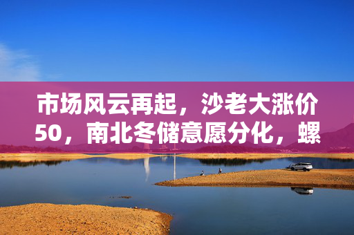 市场风云再起，沙老大涨价50，南北冬储意愿分化，螺纹钢价格死战3900