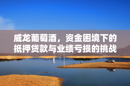 威龙葡萄酒，资金困境下的抵押贷款与业绩亏损的挑战及出路