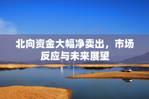北向资金大幅净卖出，市场反应与未来展望