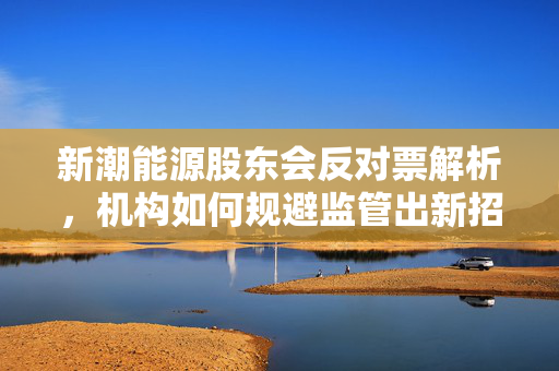 新潮能源股东会反对票解析，机构如何规避监管出新招