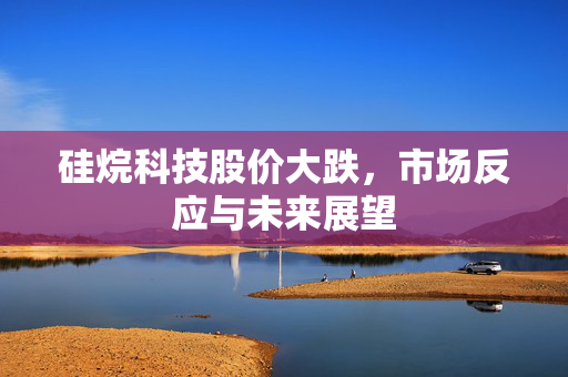 硅烷科技股价大跌，市场反应与未来展望