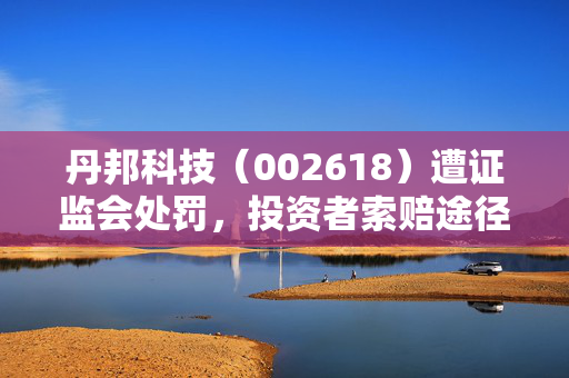 丹邦科技（002618）遭证监会处罚，投资者索赔途径启动