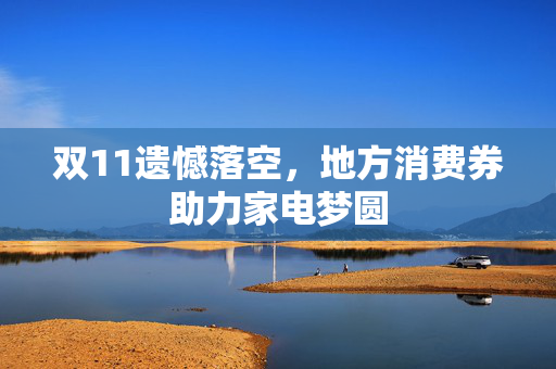 双11遗憾落空，地方消费券助力家电梦圆