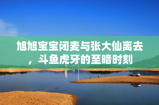 旭旭宝宝闭麦与张大仙离去，斗鱼虎牙的至暗时刻