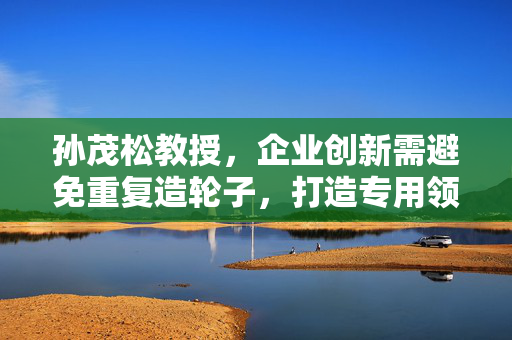 孙茂松教授，企业创新需避免重复造轮子，打造专用领域大模型助力发展