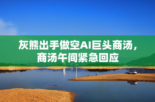灰熊出手做空AI巨头商汤，商汤午间紧急回应