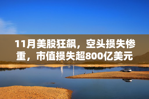 11月美股狂飙，空头损失惨重，市值损失超800亿美元