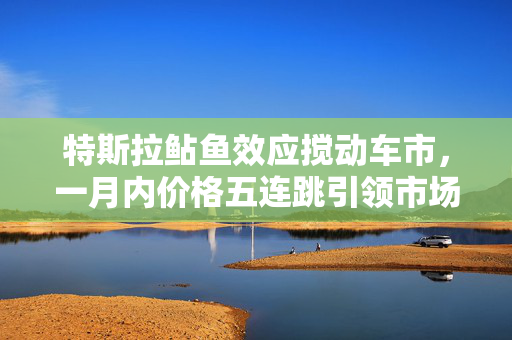 特斯拉鲇鱼效应搅动车市，一月内价格五连跳引领市场变革