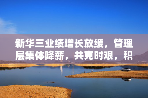 新华三业绩增长放缓，管理层集体降薪，共克时艰，积极应对挑战