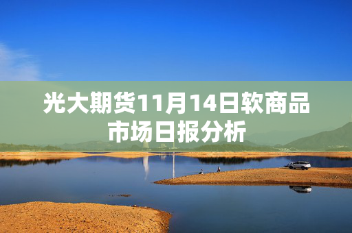 光大期货11月14日软商品市场日报分析