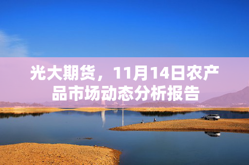 光大期货，11月14日农产品市场动态分析报告