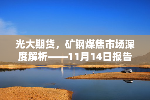 光大期货，矿钢煤焦市场深度解析——11月14日报告