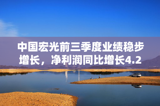 中国宏光前三季度业绩稳步增长，净利润同比增长4.2%