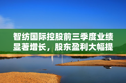智纺国际控股前三季度业绩显著增长，股东盈利大幅提高