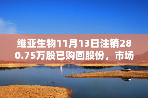 维亚生物11月13日注销280.75万股已购回股份，市场反应与策略分析