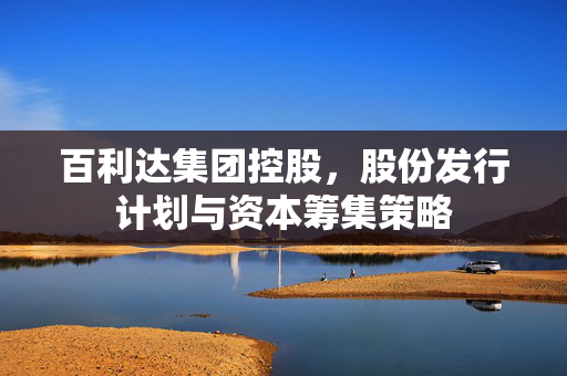 百利达集团控股，股份发行计划与资本筹集策略