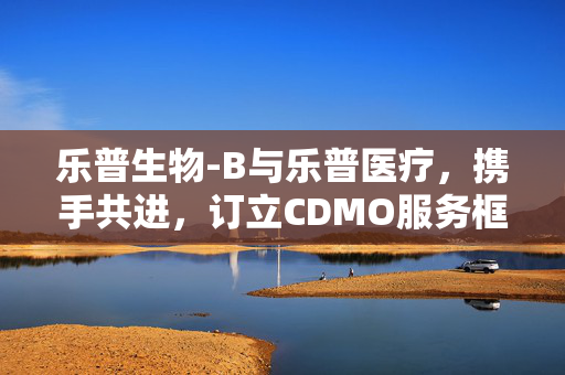 乐普生物-B与乐普医疗，携手共进，订立CDMO服务框架协议