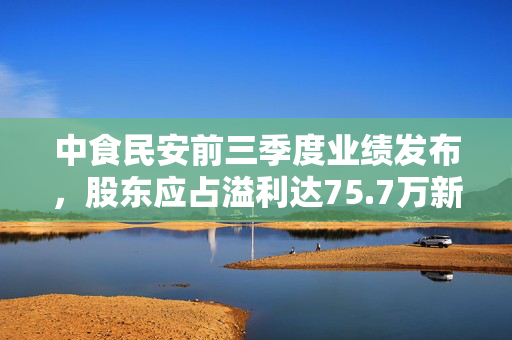 中食民安前三季度业绩发布，股东应占溢利达75.7万新加坡元，业绩亮眼，展望未来