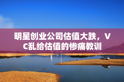 明星创业公司估值大跌，VC乱给估值的惨痛教训
