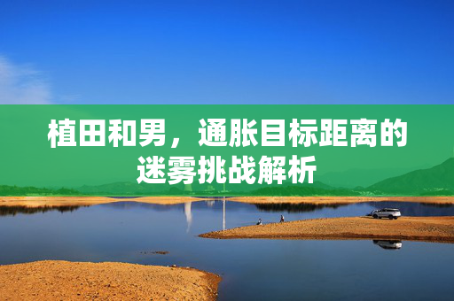 植田和男，通胀目标距离的迷雾挑战解析
