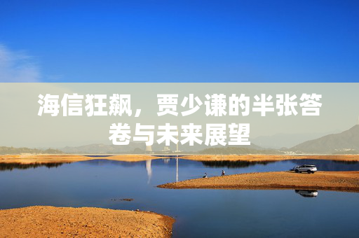 海信狂飙，贾少谦的半张答卷与未来展望